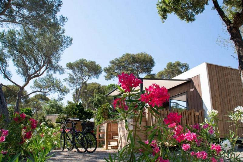Camping Le Camp Du Domaine Bormes-les-Mimosas Pokoj fotografie